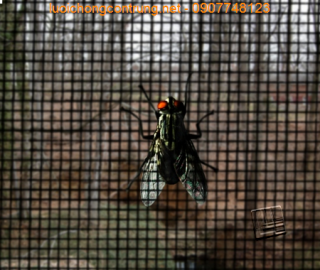 Lưới inox 20 mesh chống côn trùng